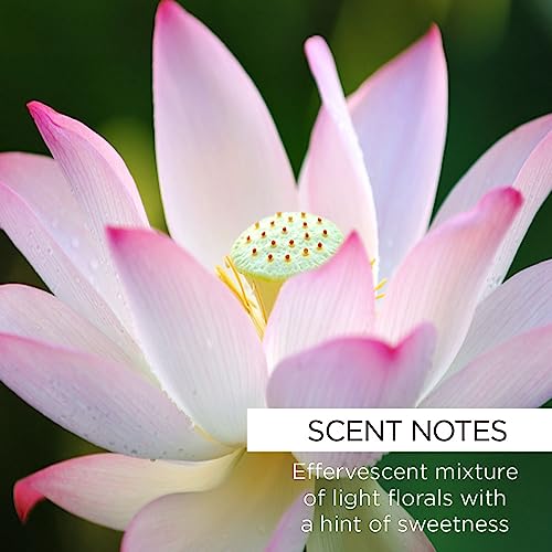Whish Nourishing Dew Mask on clean skin with rose hip and lotus oils