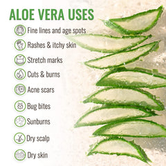 Natural ingredients in Wild Naturals aloe vera gel: cucumber and bitter orange