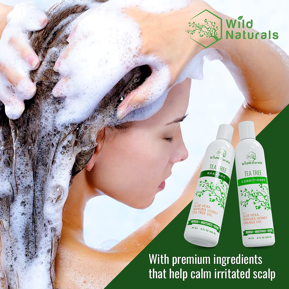 Scalp massage scene with Tea Tree formula for refreshing care