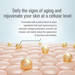 Wilma Schumann DNA Replenishing Serum texture close-up showing lightweight absorption.