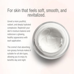 Wilma Schumann Moisture Intensiv Restorative Cream hand-application demonstrates convenient daily use.