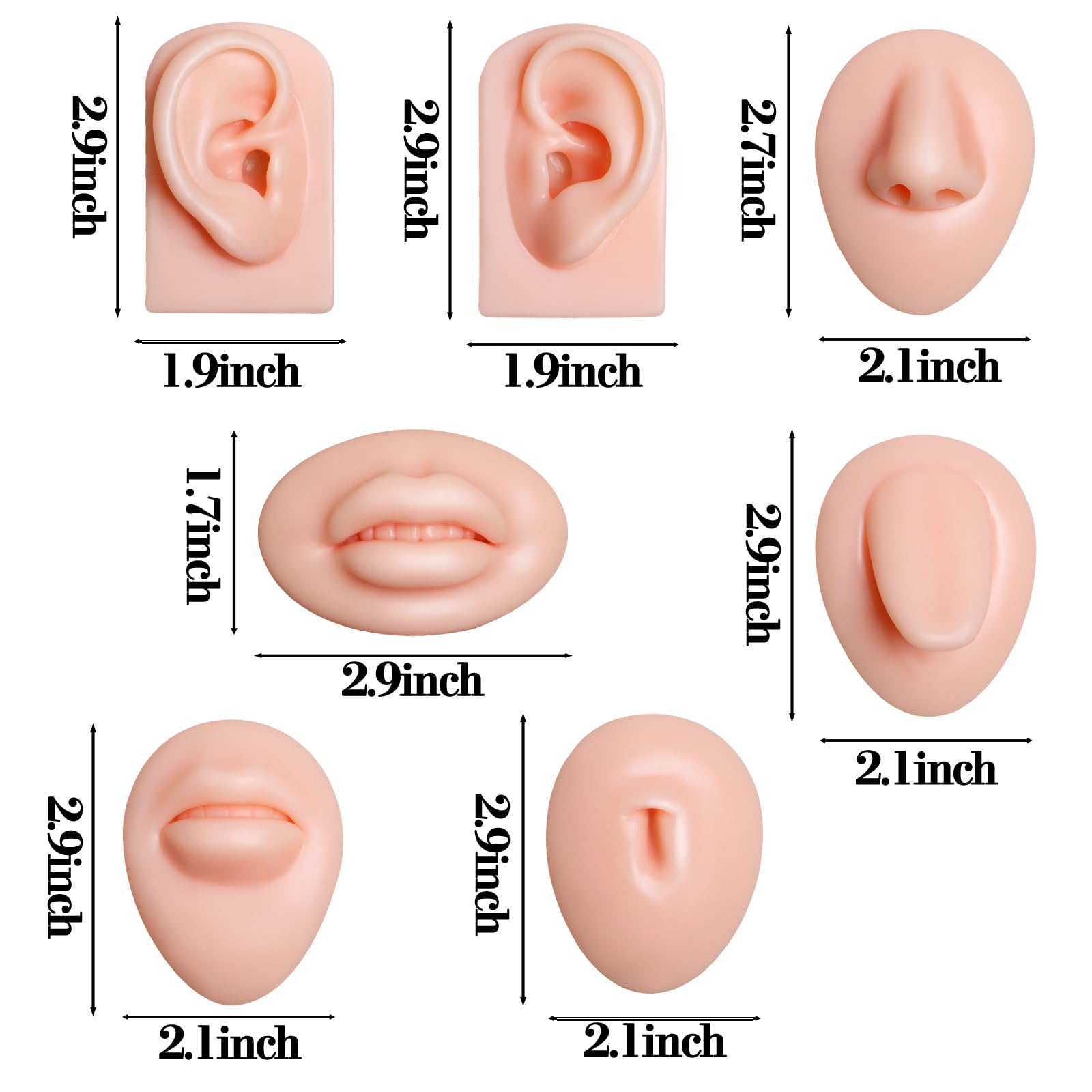 Xcake Lcook silicone tongue model for precise technique training