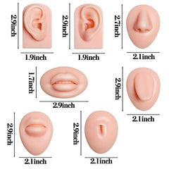 Xcake Lcook silicone tongue model for precise technique training