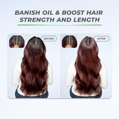 XMONDO Hair BOOST X application brush-through shot.