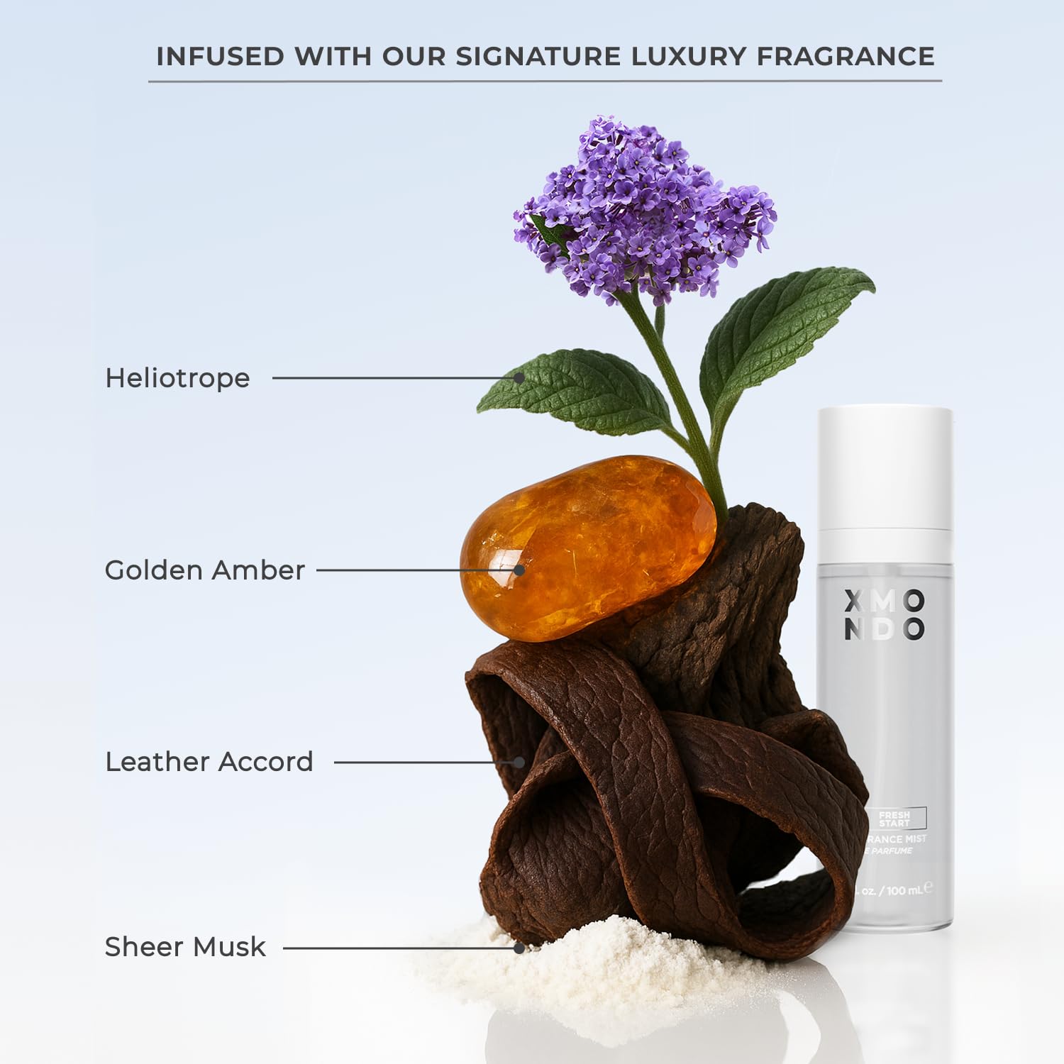 XMONDO Hair Hydrify baobab protein and argan oil ingredients closeup.