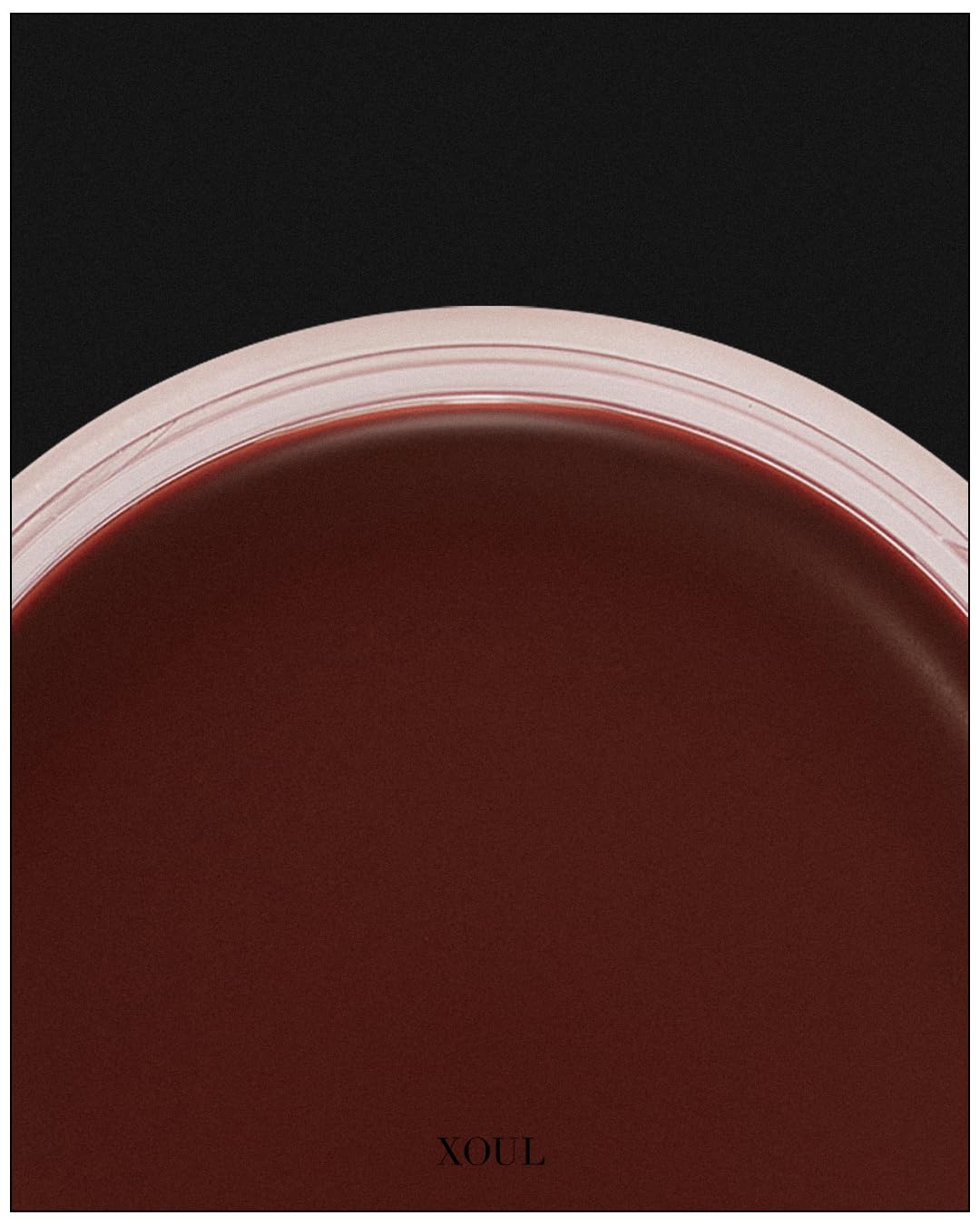 XOUL Ever Moist Lip Balm glossy finish for smooth, radiant lips