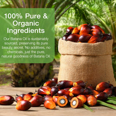 Xsvseie Batana Oil origin label emphasizing Honduran organic sourcing.
