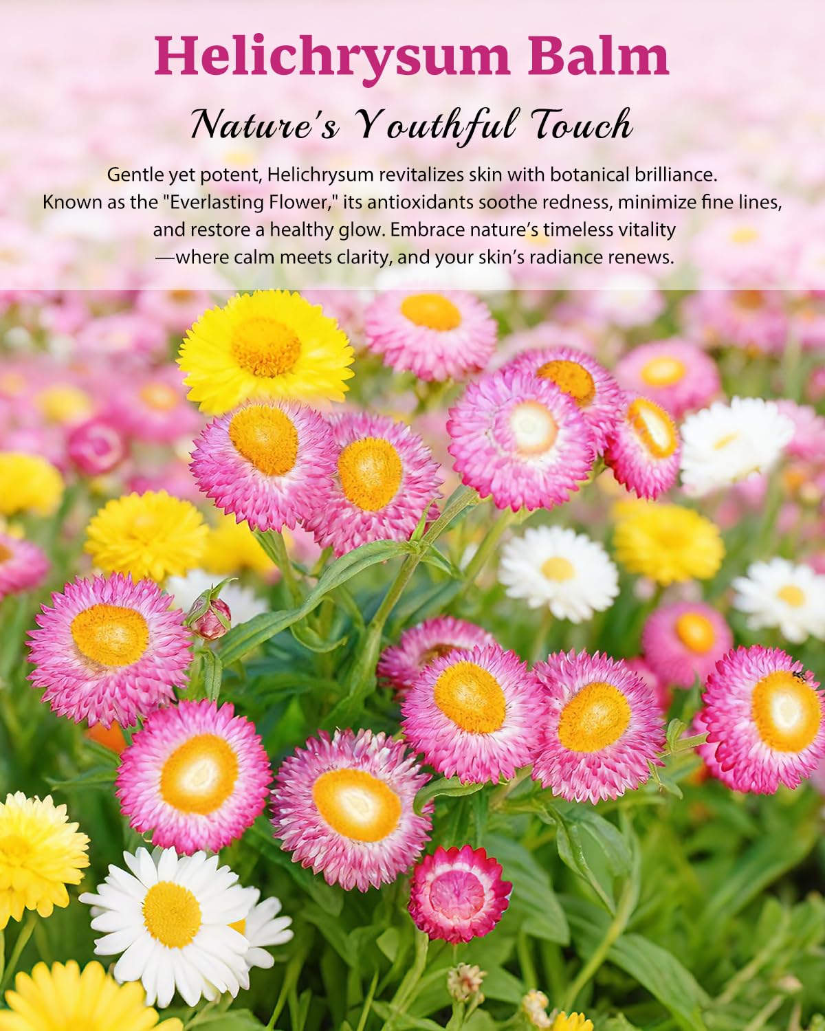 XUEBEIK Helichrysum balm mood moment for self care ritual