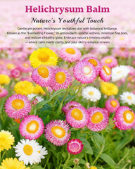 XUEBEIK Helichrysum balm on vanity with product branding and travel-friendly appeal