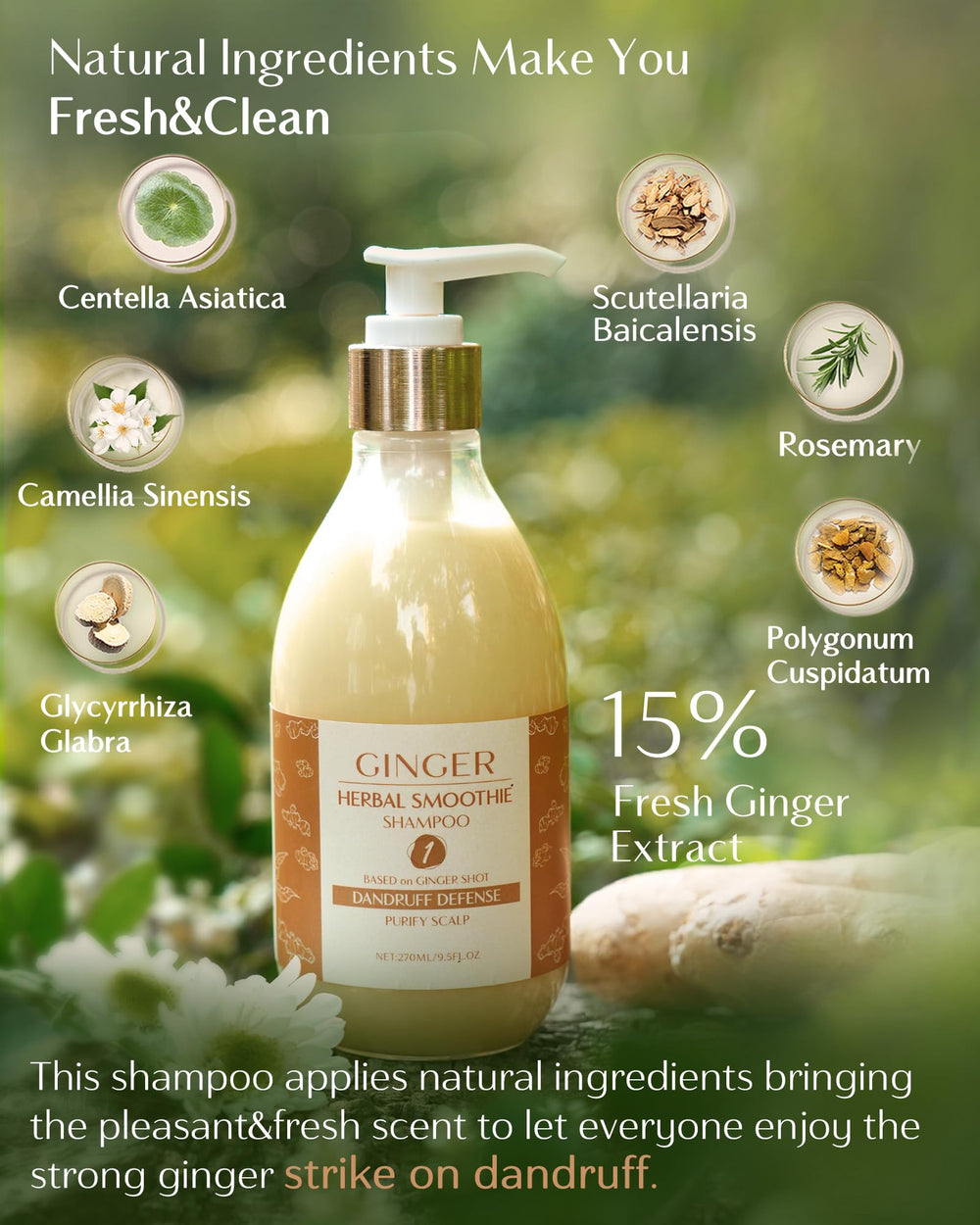 Close view of ginger extract in YANIBEST formula for natural care