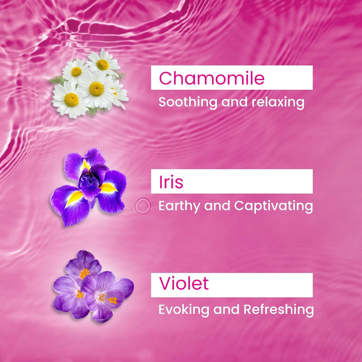 Violet petals with Yardley Floral Essence evoke fresh morning ritual