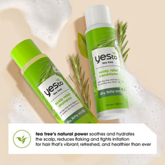 Yes To Tea Tree & Sage scalp close-up showing moisturization.