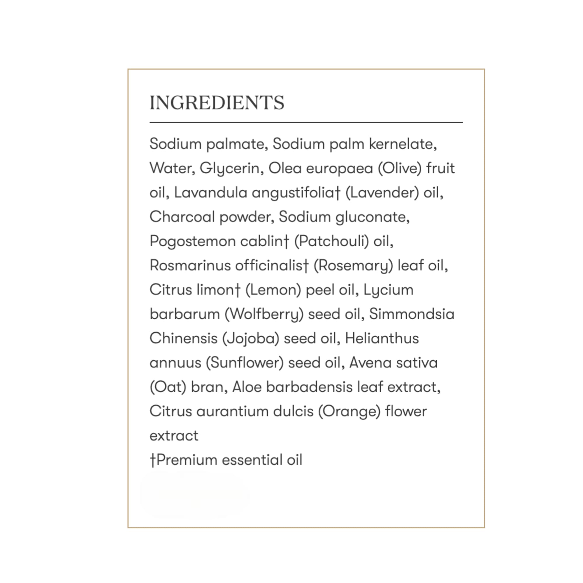 Young Living Charcoal Bar Soap travel-friendly bar for on-the-go cleansing.