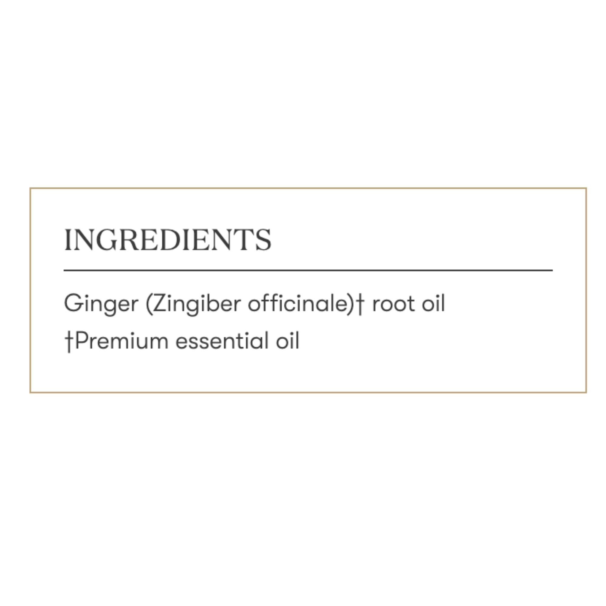 Cozy cooking scene showing Ginger Vitality enhancing meals.