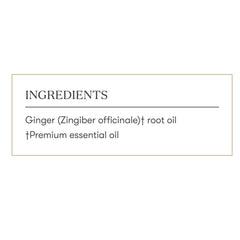 Cozy cooking scene showing Ginger Vitality enhancing meals.