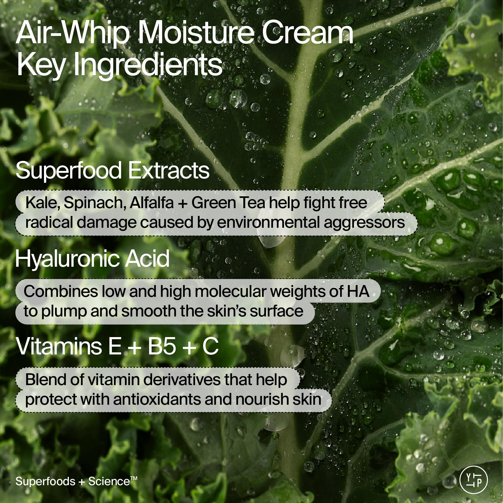 Youth To The People Air Whip Moisture Cream tube showing lightweight hydration.