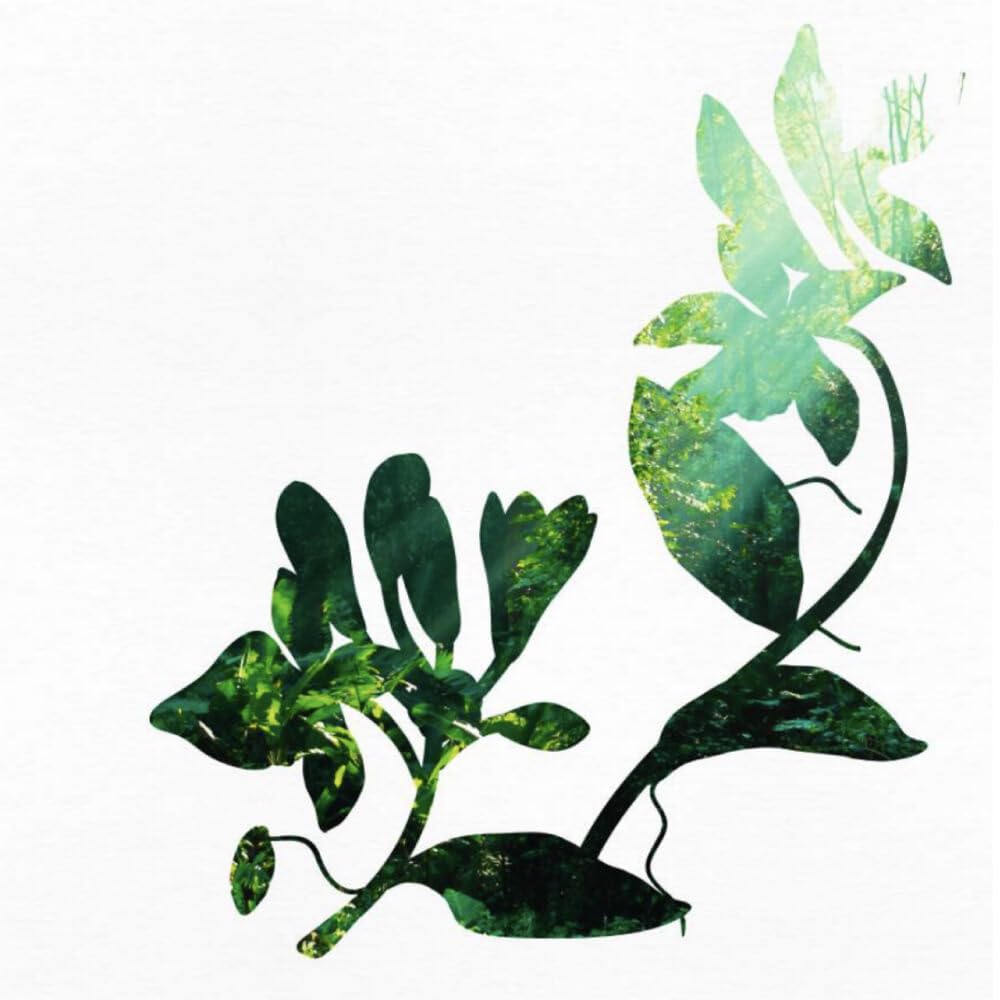 The vanilla aroma from Yves Rocher Escape Bourbon Vanilla Body Milk enhances daily pampering.