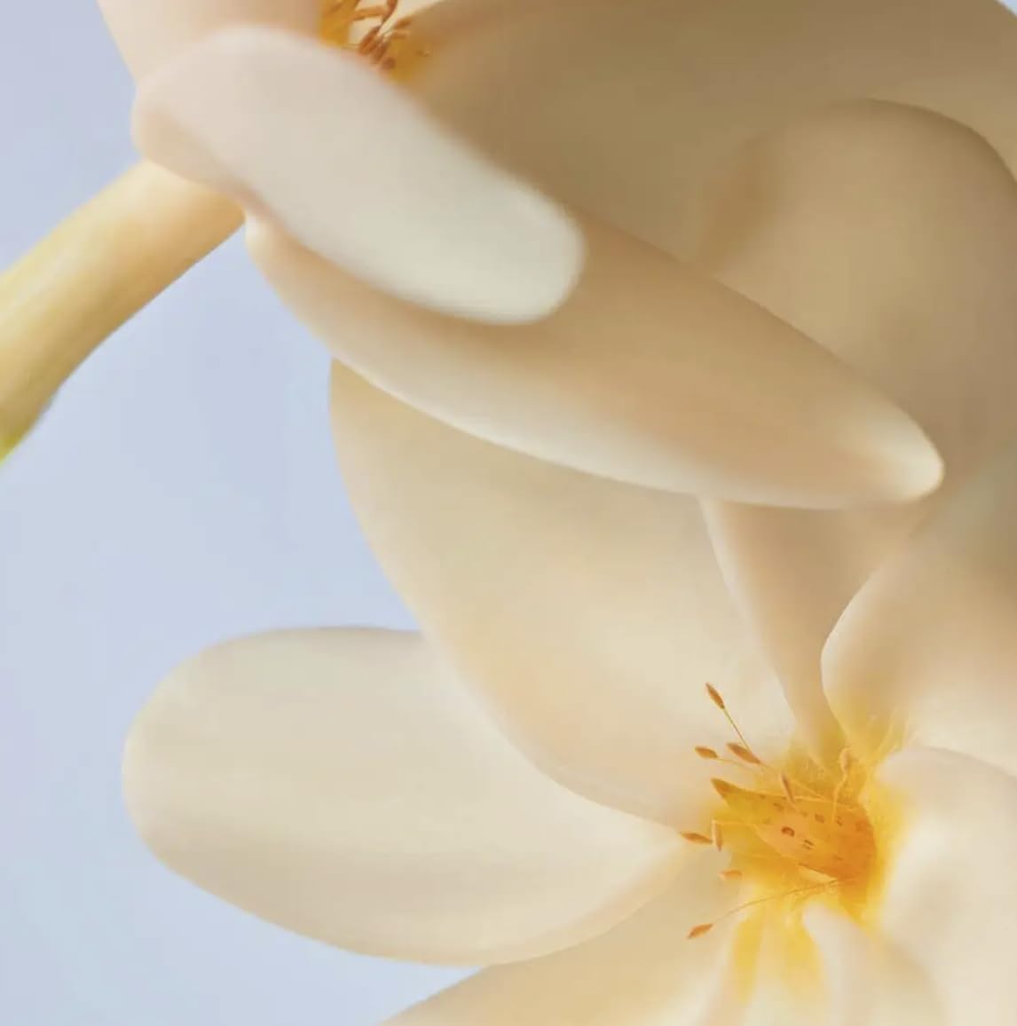 Yves Rocher Monoï de Tahiti dry oil on skin with subtle glow and tan preservation.