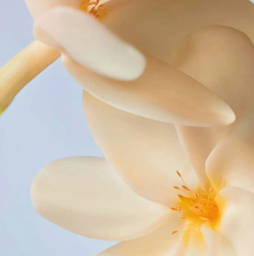 Yves Rocher Monoï de Tahiti dry oil on skin with subtle glow and tan preservation.