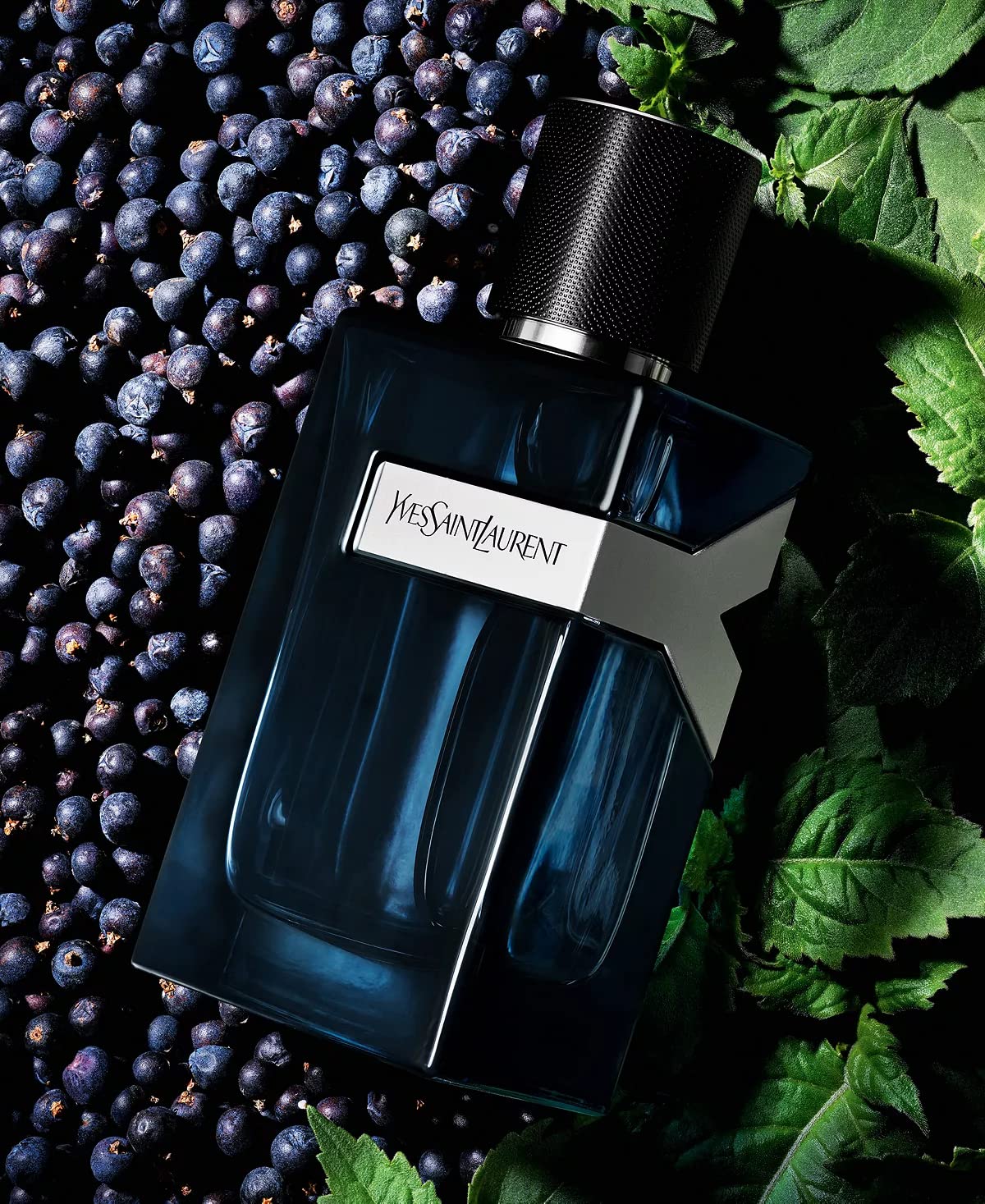 YSL Y Intense packaging that fits a gym bag or desk.