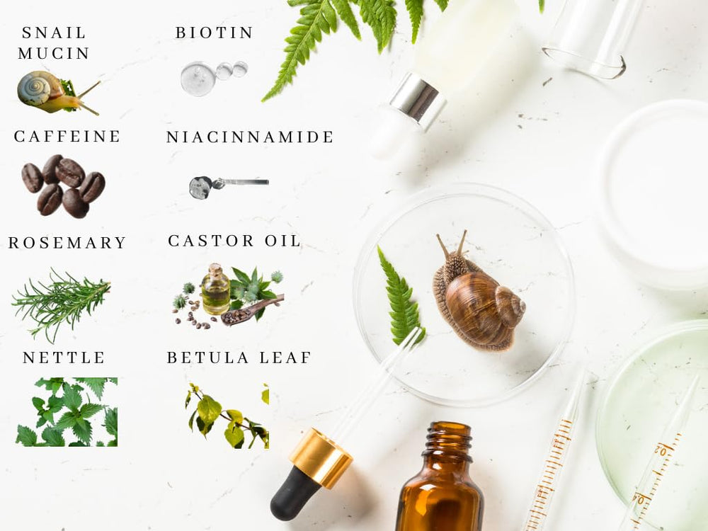 ZAIN1.618 nettle-extract: supports overall scalp health and hair condition.