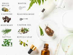 ZAIN1.618 nettle-extract: supports overall scalp health and hair condition.