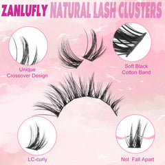 Zanlufly lash-bond-and-seal secures clusters for longer wear and reliable retention.