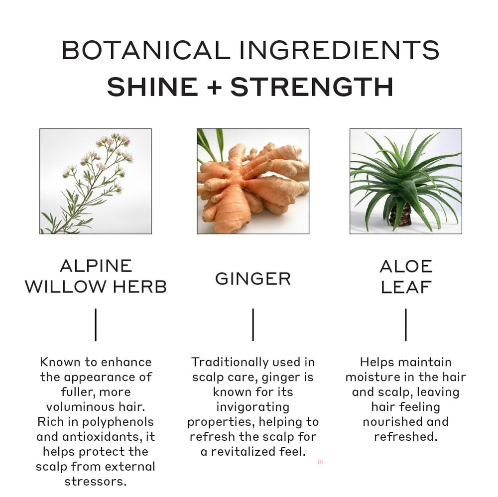 Zenagen Evolve conditioner texture swatch hints at rich nourishing cream