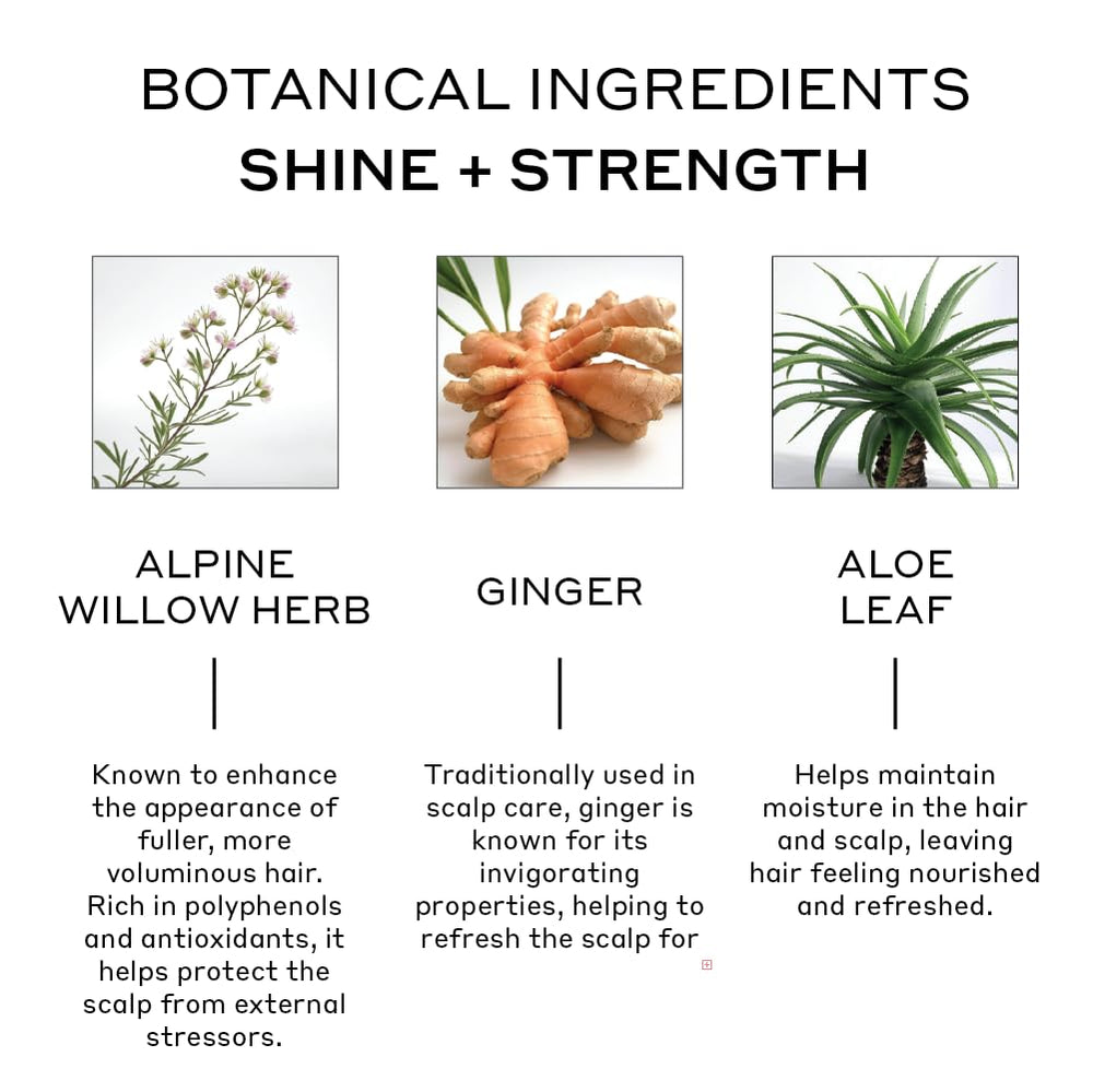 Zenagen Evolve Repair natural ingredients image featuring aloe and ginger nourishing hair.