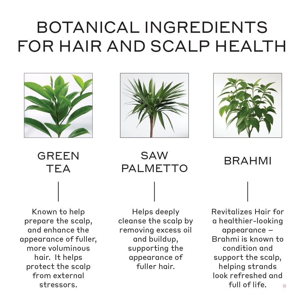 Zenagen Revolve scalp-application shot highlights quick five-minute care concept