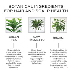 Zenagen Revolve scalp-application shot highlights quick five-minute care concept