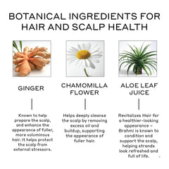 Zenagen Revolve application on scalp demonstrates a quick, non-greasy conditioning routine.
