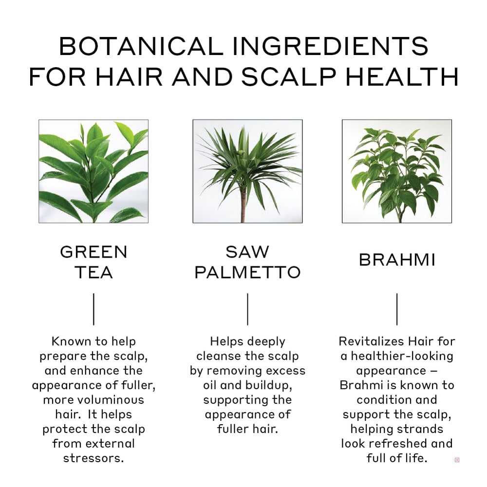 Zenagen Revolve lather in hand, creamy cleansing experience with natural extracts