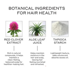 Zenagen Texturizing Powder absorbs oil for refreshed roots.