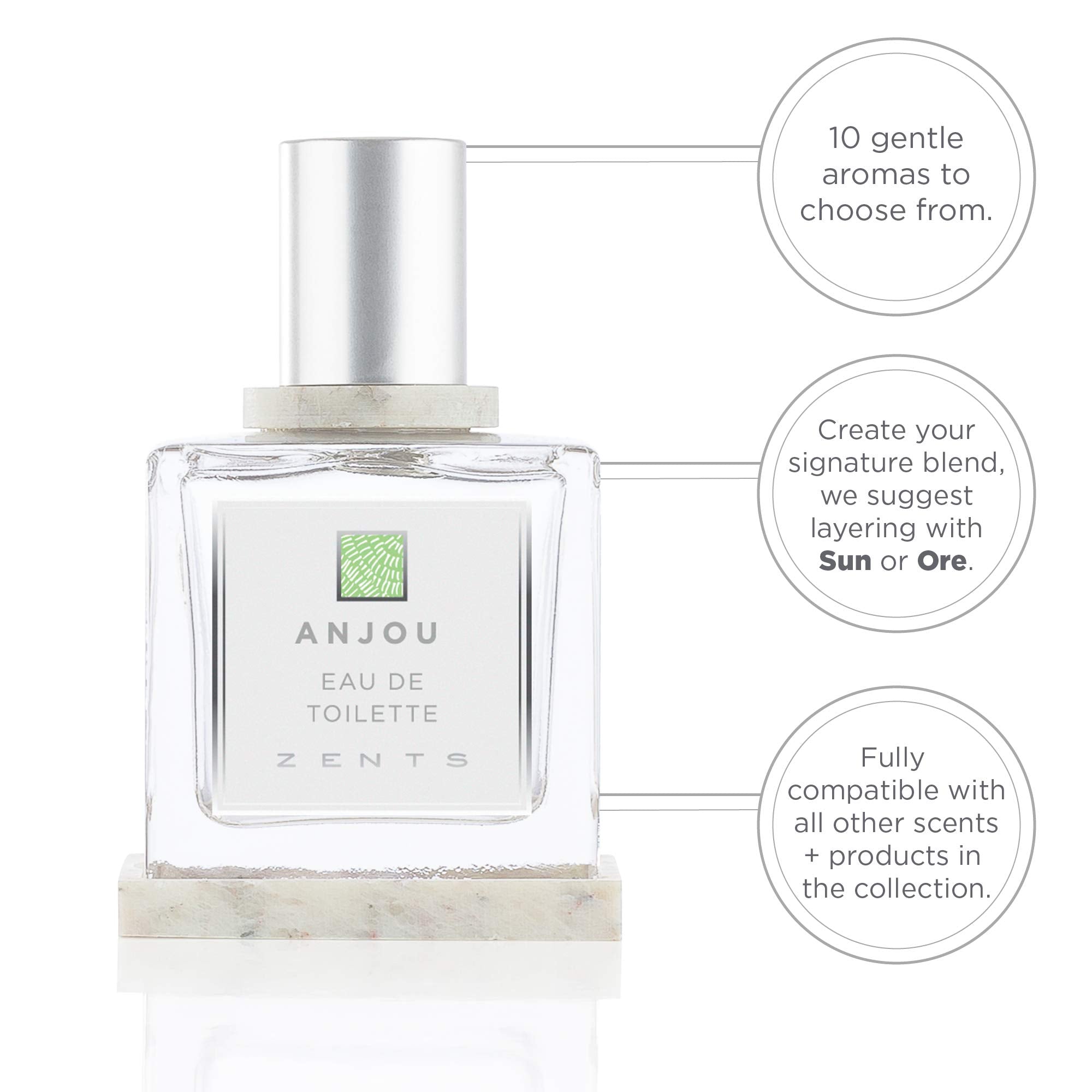 Zents Anjou EDP application on pulse points for personal scent