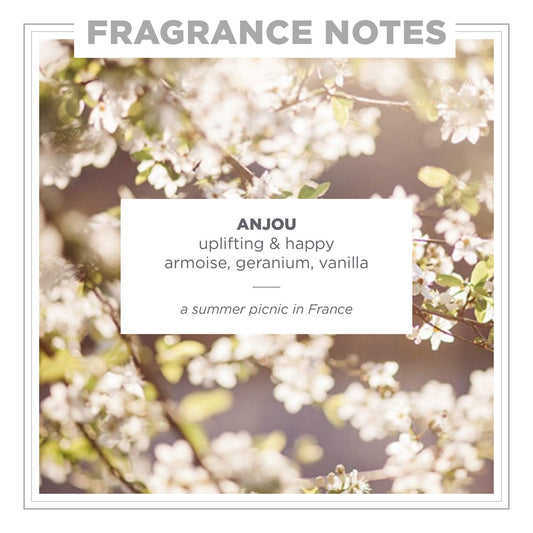 Zents Anjou EDP close-up highlighting jasmine and geranium notes