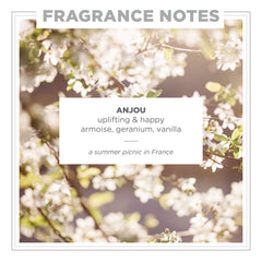 Zents Anjou EDP close-up highlighting jasmine and geranium notes