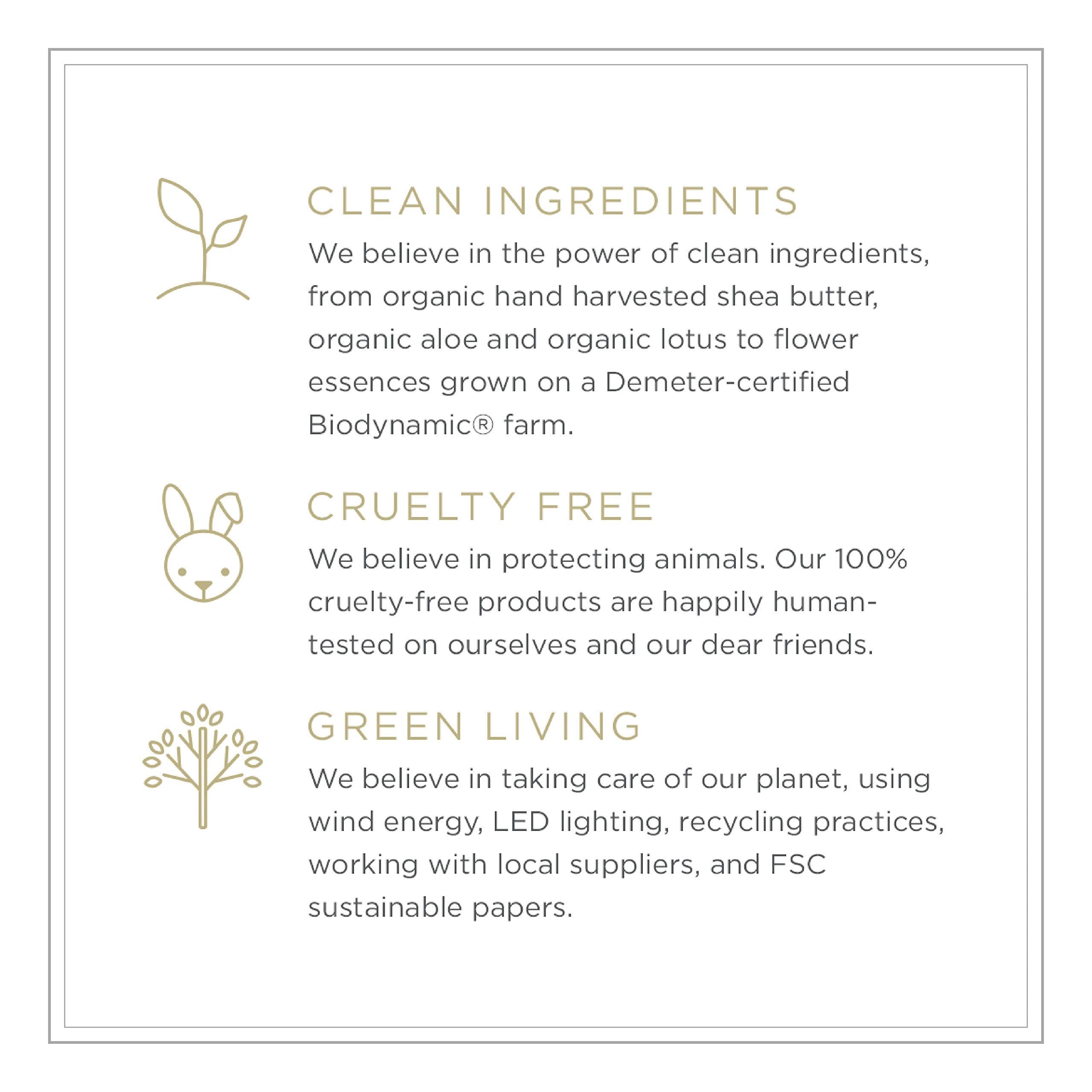 Zents Concreta eco packaging – sustainable care aligned with mindful routines.
