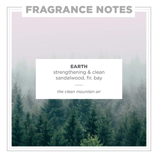 Close-up of sandalwood note in Zents Earth highlighting warmth.