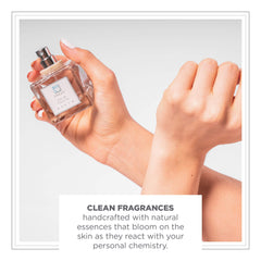 Zents Fresh cucumber and lemon top notes evoke crisp freshness.