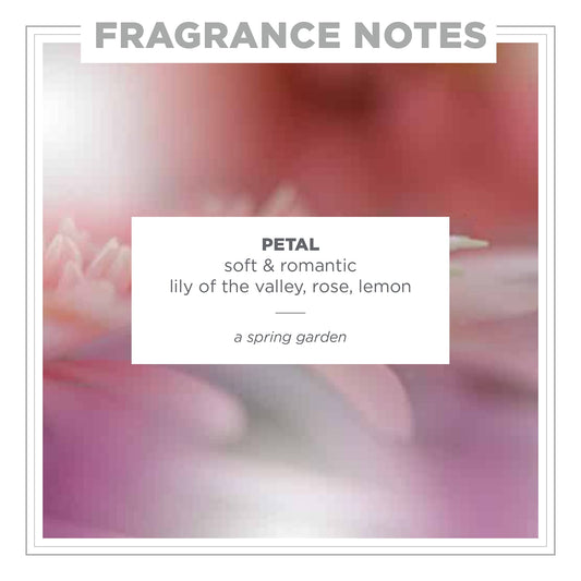 Zents Petal bottle on surface highlights clean, long-lasting fragrance for daily use