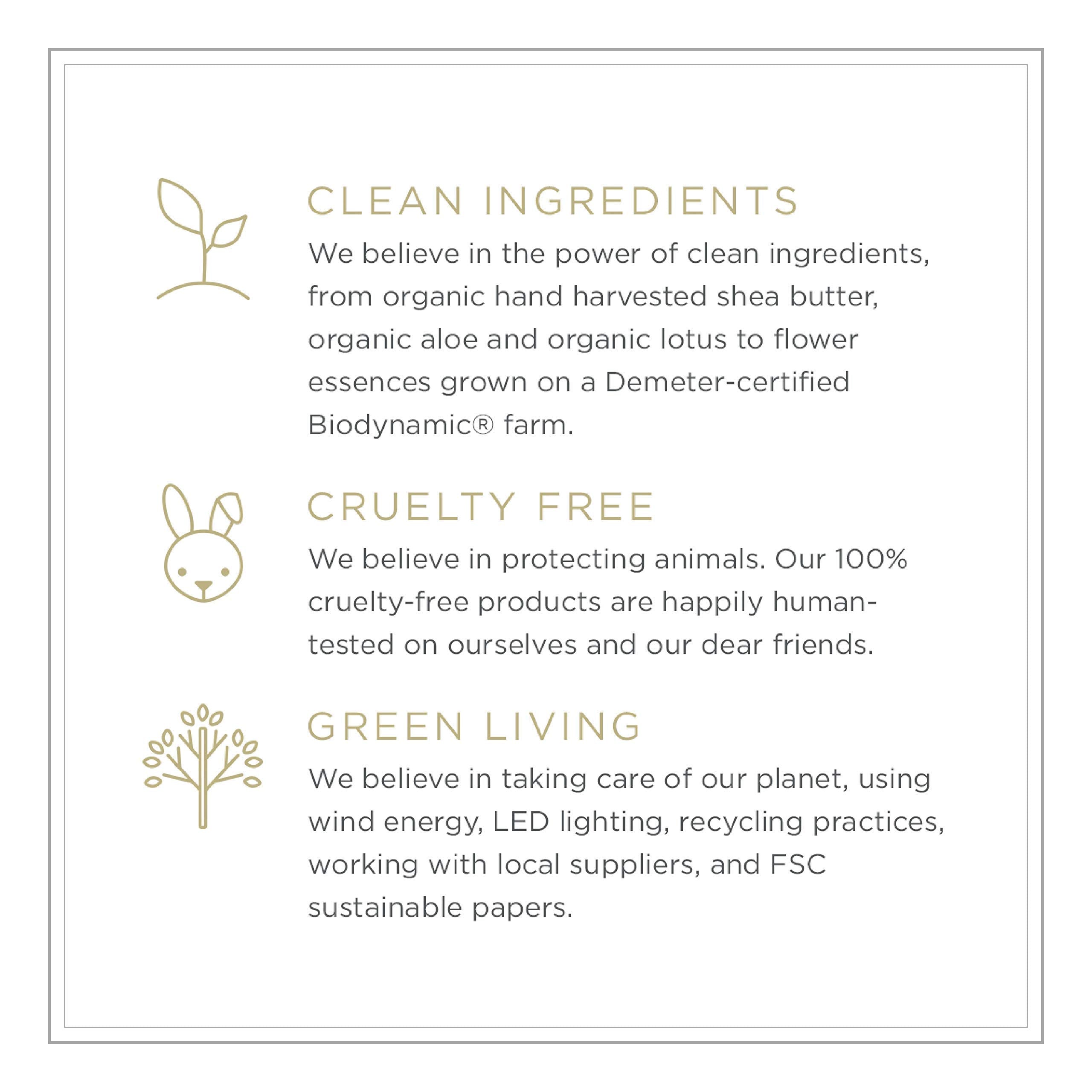 Zents Petal essential ingredients from around the world enrich the fragrance