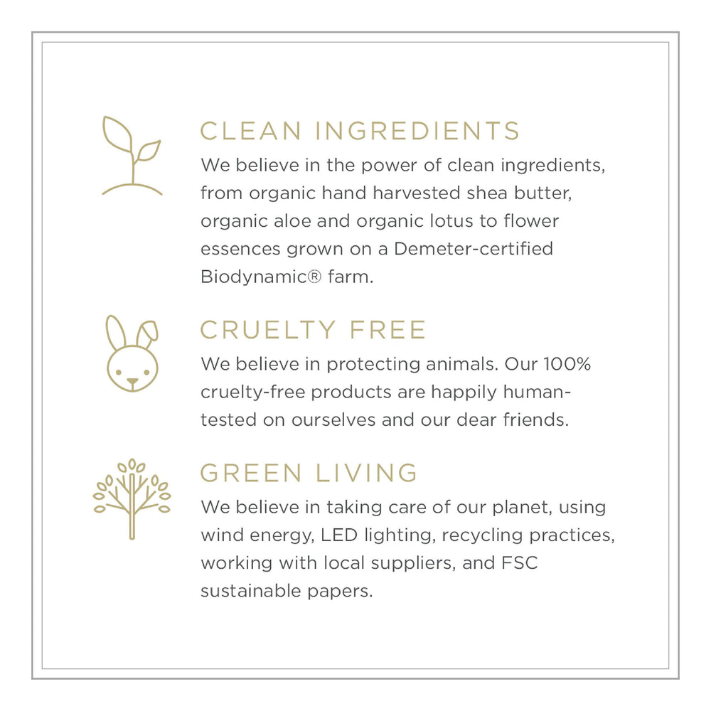 Zents Petal essential ingredients from around the world enrich the fragrance