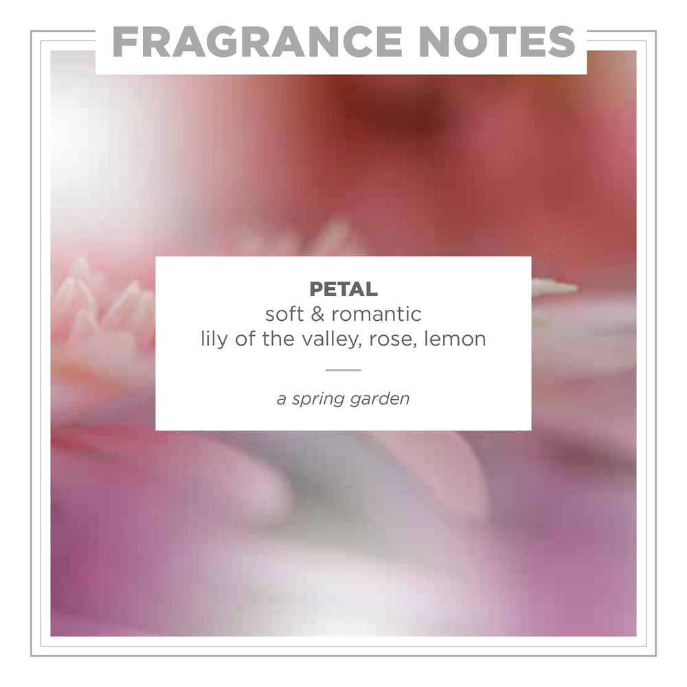 Zents Petal garden-scent image captures a fresh floral aroma for a bright shower.
