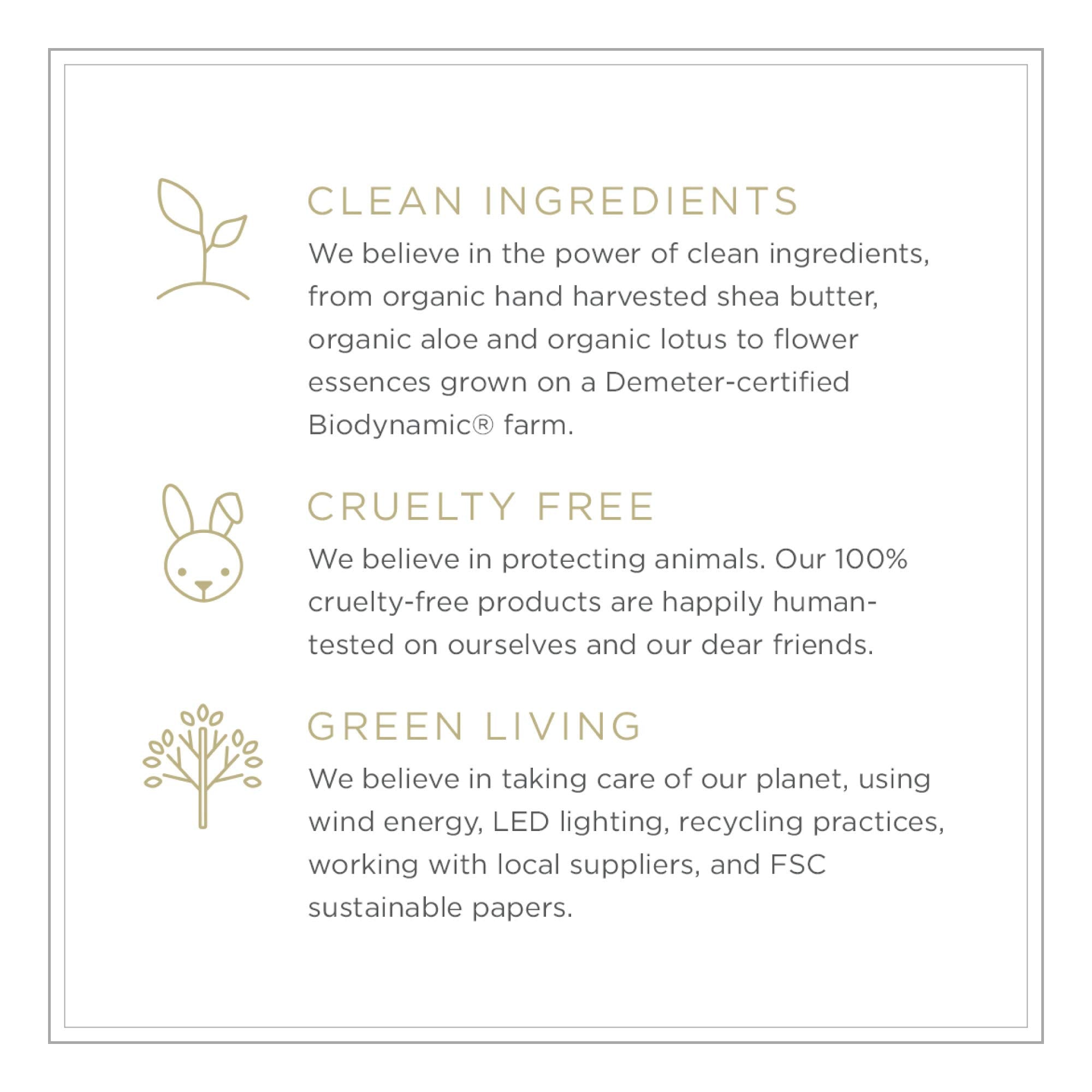 Zents Petal packaging-green-process underlines eco-conscious design with vegan ingredients.