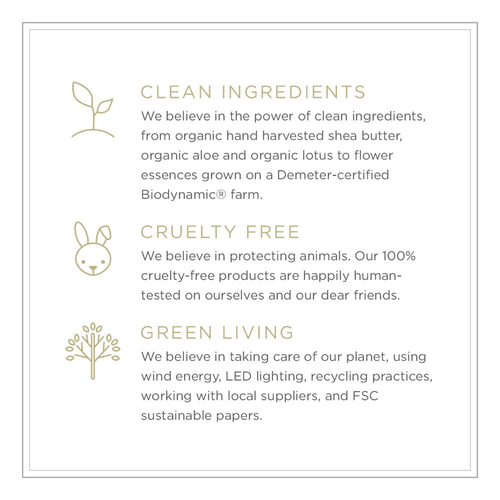 Zents Petal packaging-green-process underlines eco-conscious design with vegan ingredients.