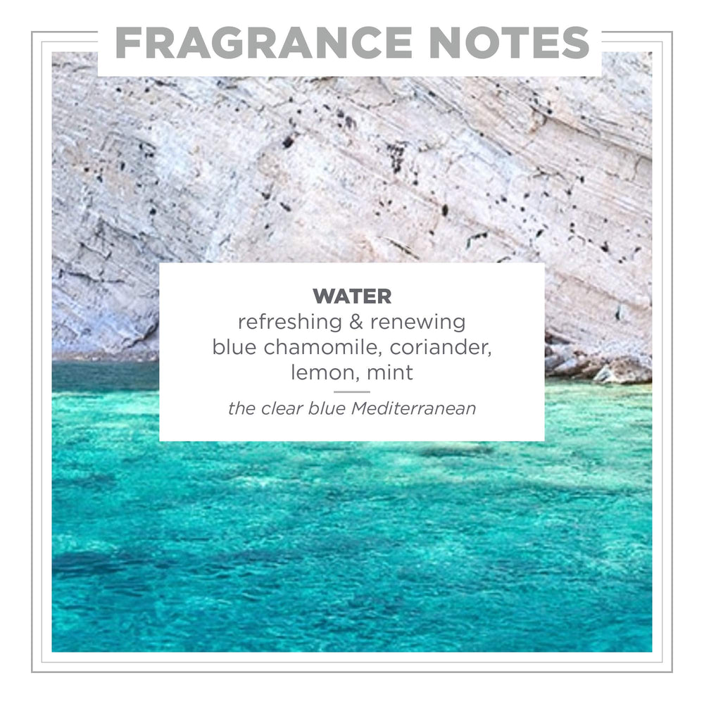 Zents Water bottle highlights lemon, chamomile, and coriander notes.